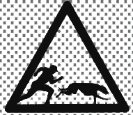 LOST TEMPLE PETS: Guides, Fitness & Rehab logo