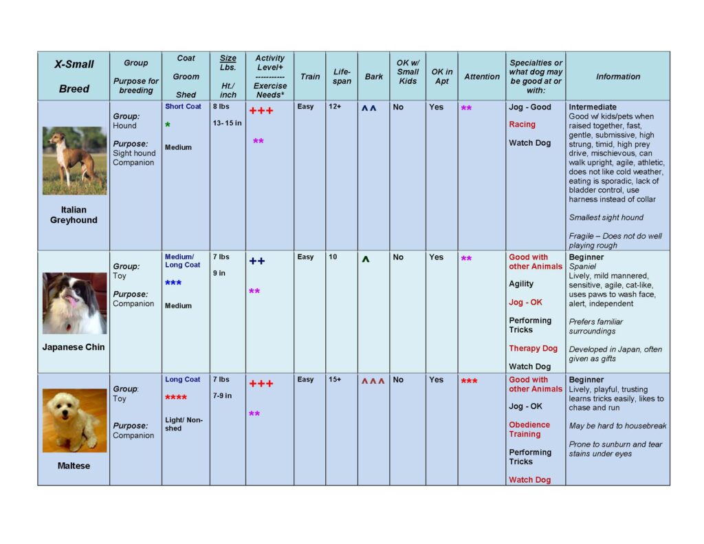 Dog Pet Guide - Lost Temple Pets: Guides, Fitness & Rehab