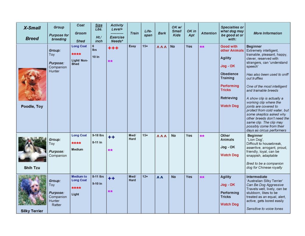 Dog Pet Guide - Lost Temple Pets: Guides, Fitness & Rehab