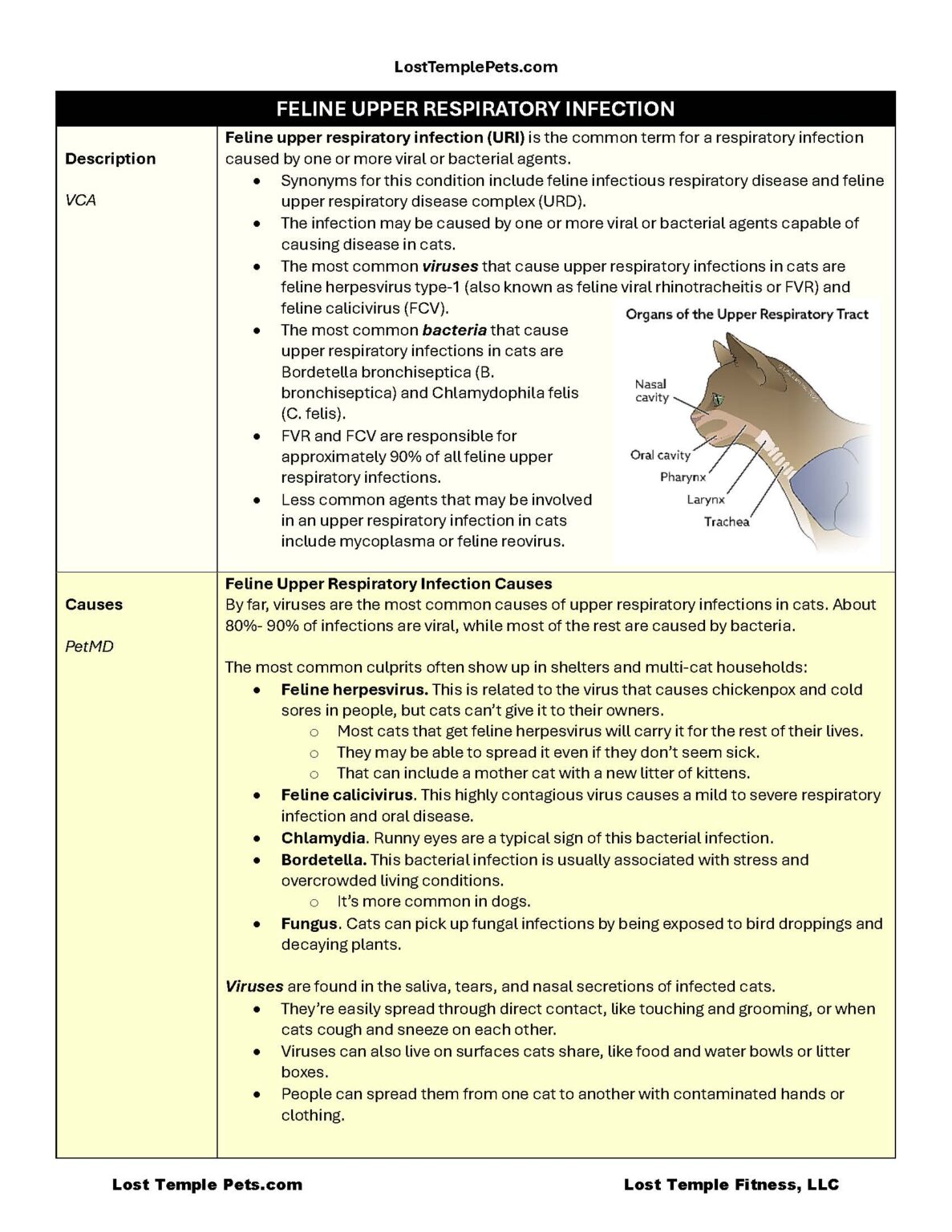 Feline Upper Respiratory Infection (URI) - LOST TEMPLE PETS: Guides ...